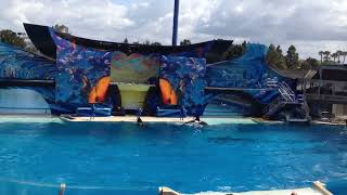 IMG 0713 Seaworld in San Diego (2)