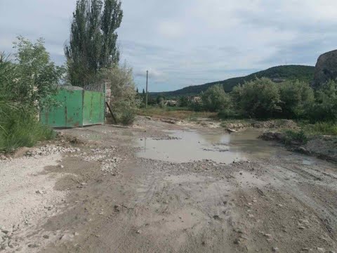 Video: Баткак шаарынын тургундарына курттар кол салат