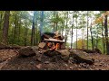 Осенний лес и тихий треск костра. Autumn forest and quiet crackling fire.