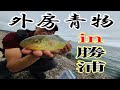 [勝浦市]初秋の堤防ショアジギング！〜外房青物を追って〜