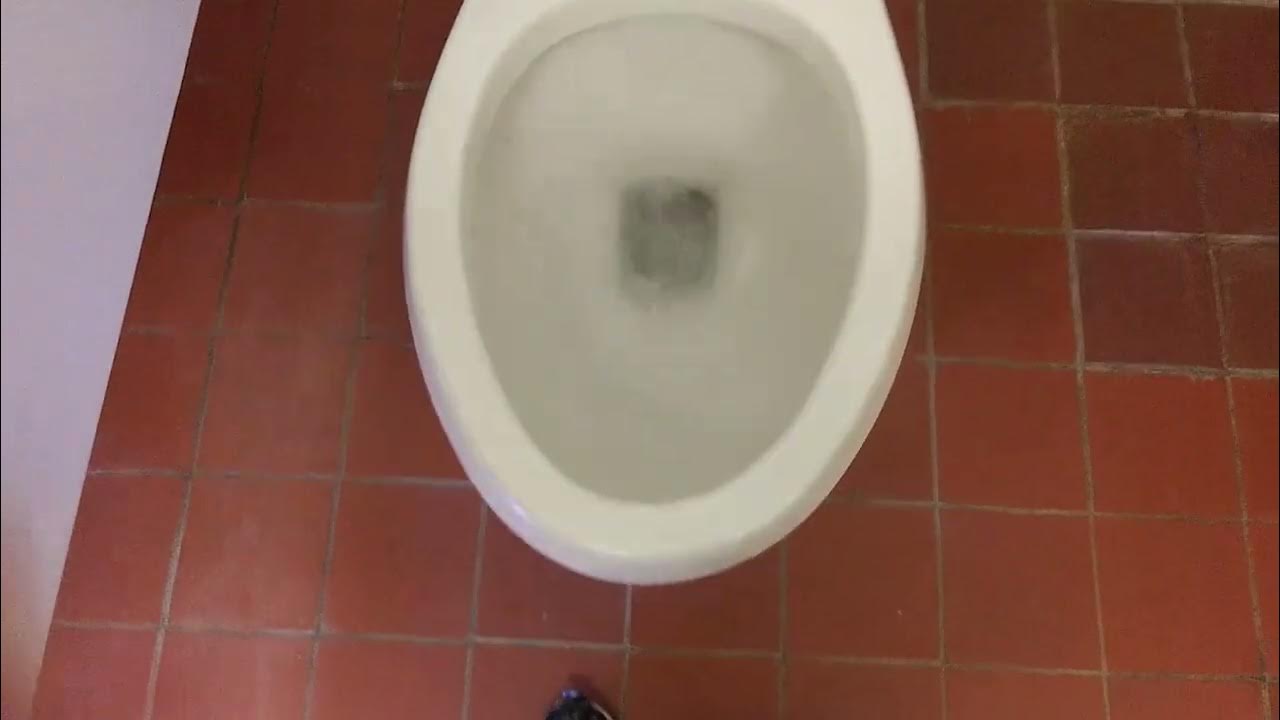 Aquasource DualFlush Toilet. YouTube