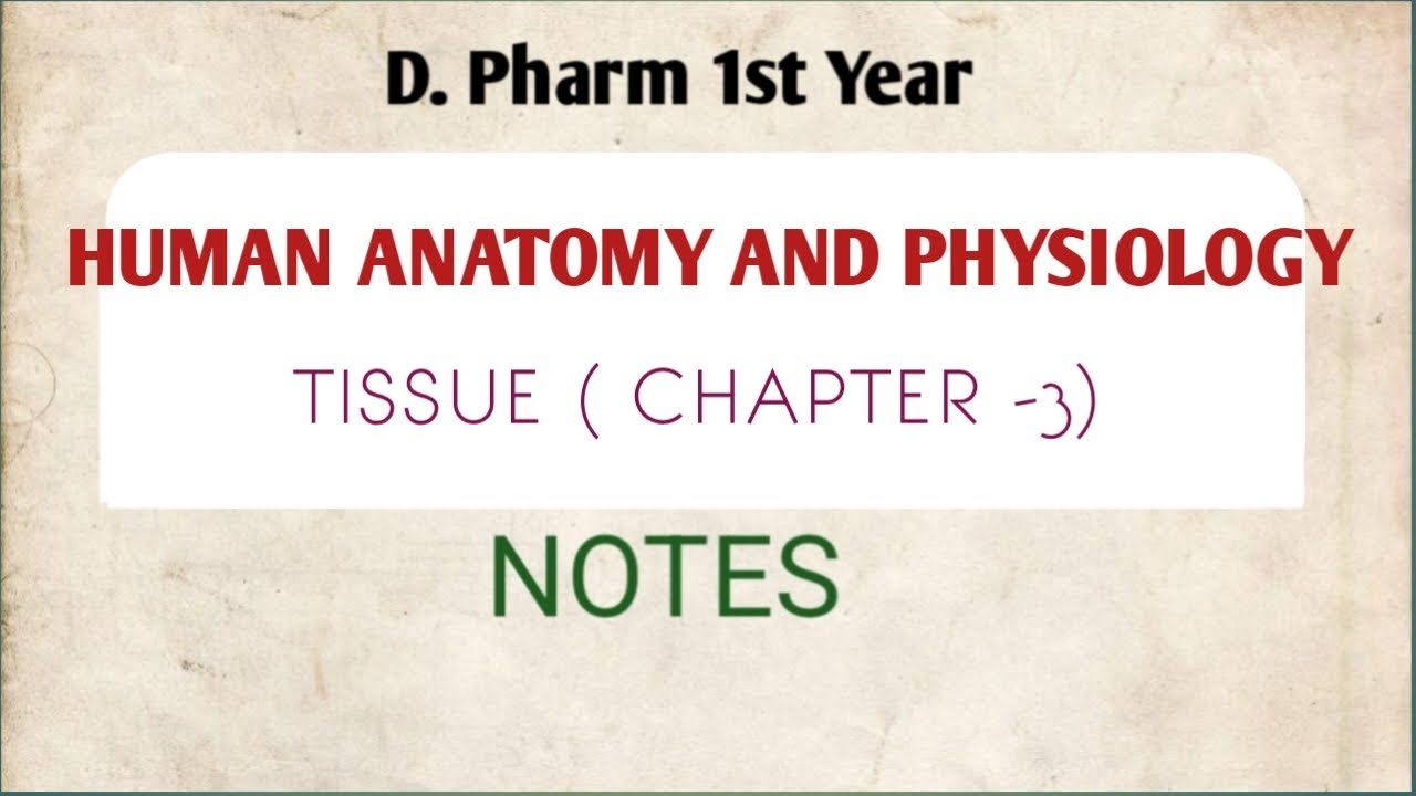 Tissue ll Chapter -3 ll Human Anatomy and Physiology ll D. Pharm 1st ...