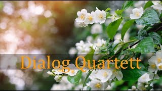 茉莉花 Jasmine Flower Dialog Quartett