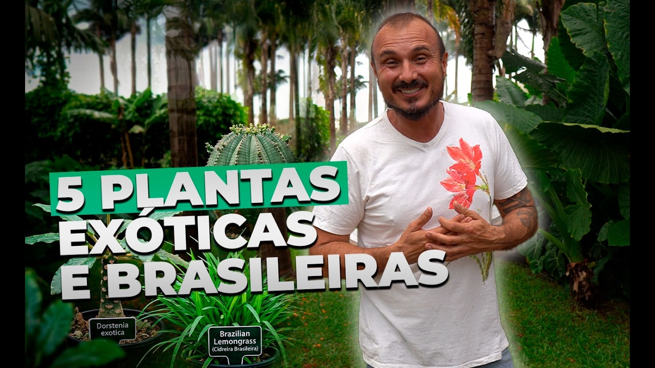 5 Plantas Exóticas e Brasileiras Que Você Precisa Conhecer