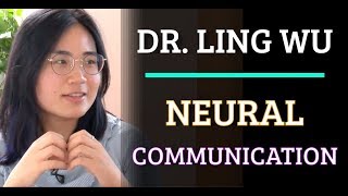 Simulation #615 Dr. Ling Wu - Neural Communication