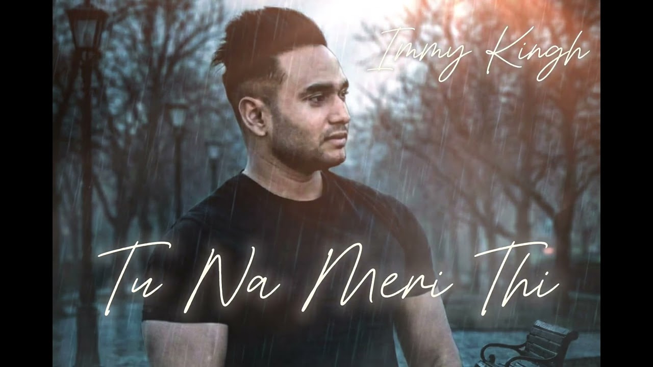 Tu Na Meri Thi – Most Emotional One Side Love Audio Song 2025 | Immy Kingh