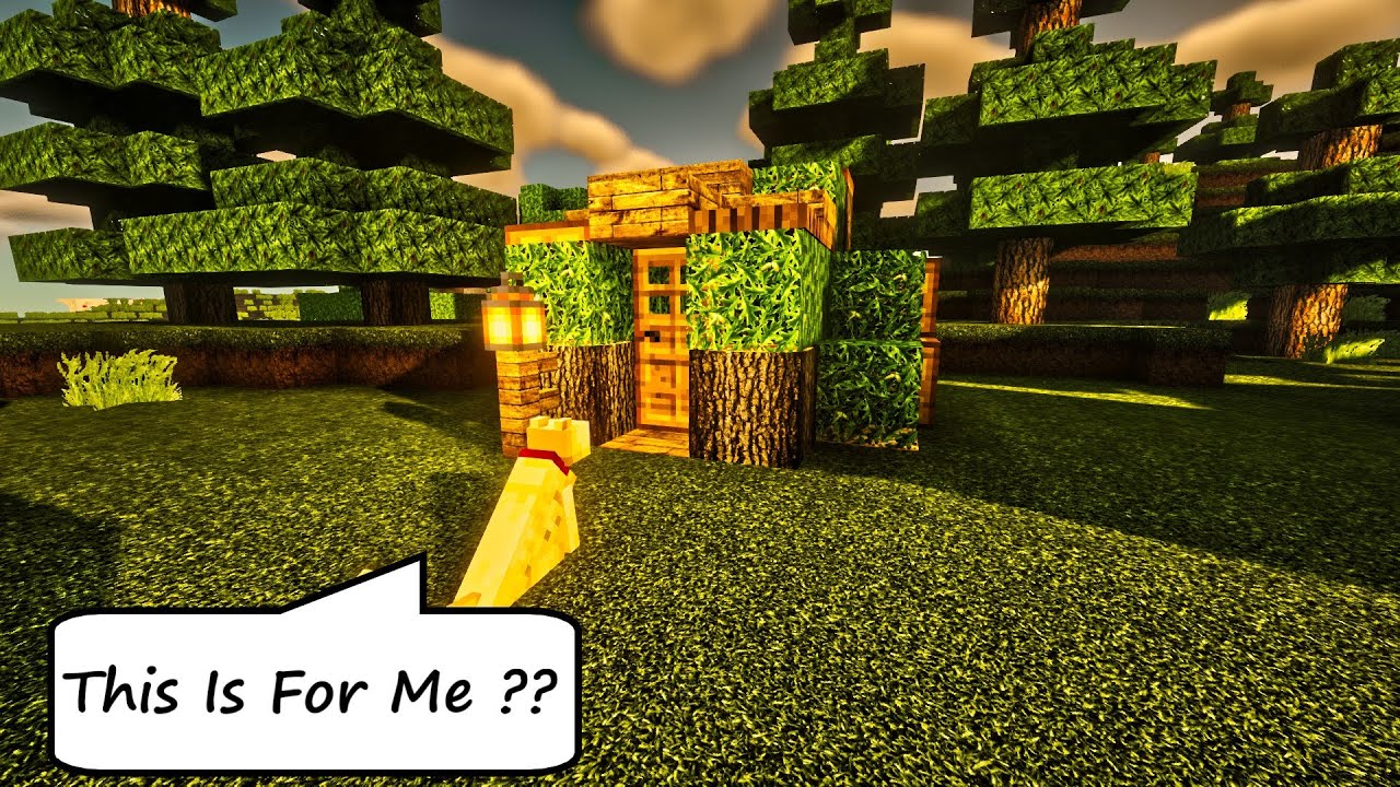 ⚒️ MineCraft ⚒️ - How To Build a Small Starter Survival Wooden House In Survival