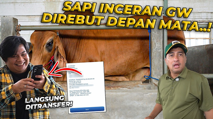 MANAGER GW REBUT SAPI RED BRAHMAN TERBESAR DEPAN MATA GW..!