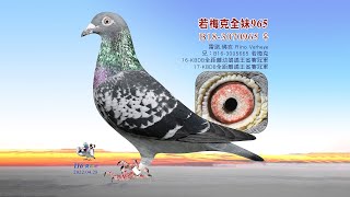 【雷諾】B18-3070965