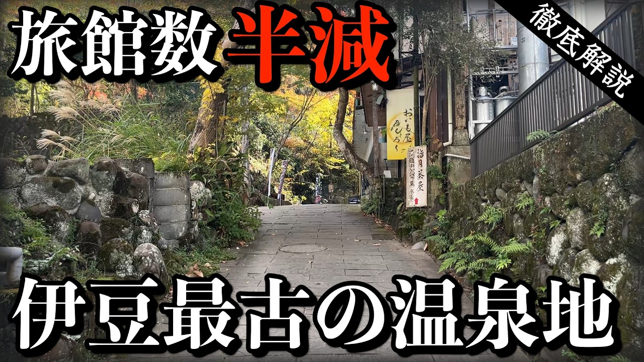 観光客に素通りされる駅前商店街と賑わいの裏で衰退する伊豆の温泉街