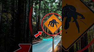 If you see this sign on the road then drive slowly!🤔 #shorts #viral #viralvideos