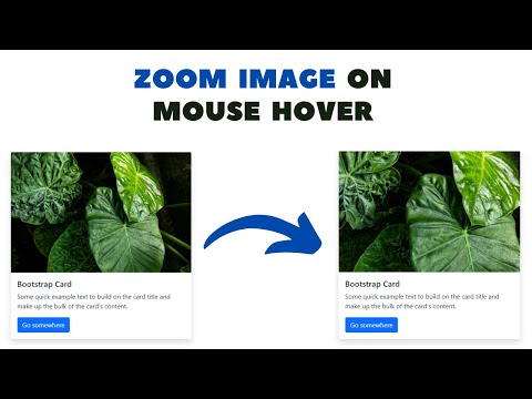 How To Zoom Image On Hover | HTML and CSS only | Swapnil Codes