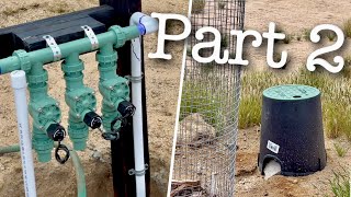 67. I Have Water! 💦👏🏻 Desert Homestead Orchard Irrigation