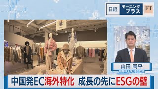 中国発EC海外特化 成長の先にESGの壁【日経モープラFT】（2023年12月19日）