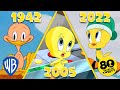 Looney Tunes | The Animated History of Tweety | @WB Kids
