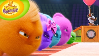 Cartoons for Children | Sunny Bunnies 104 - Who is faster? (HD - Full Episode)