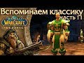 WoW: Classic [11] Табарды (гербовые накидки) классики.