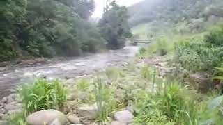 DSCF8809.AVI