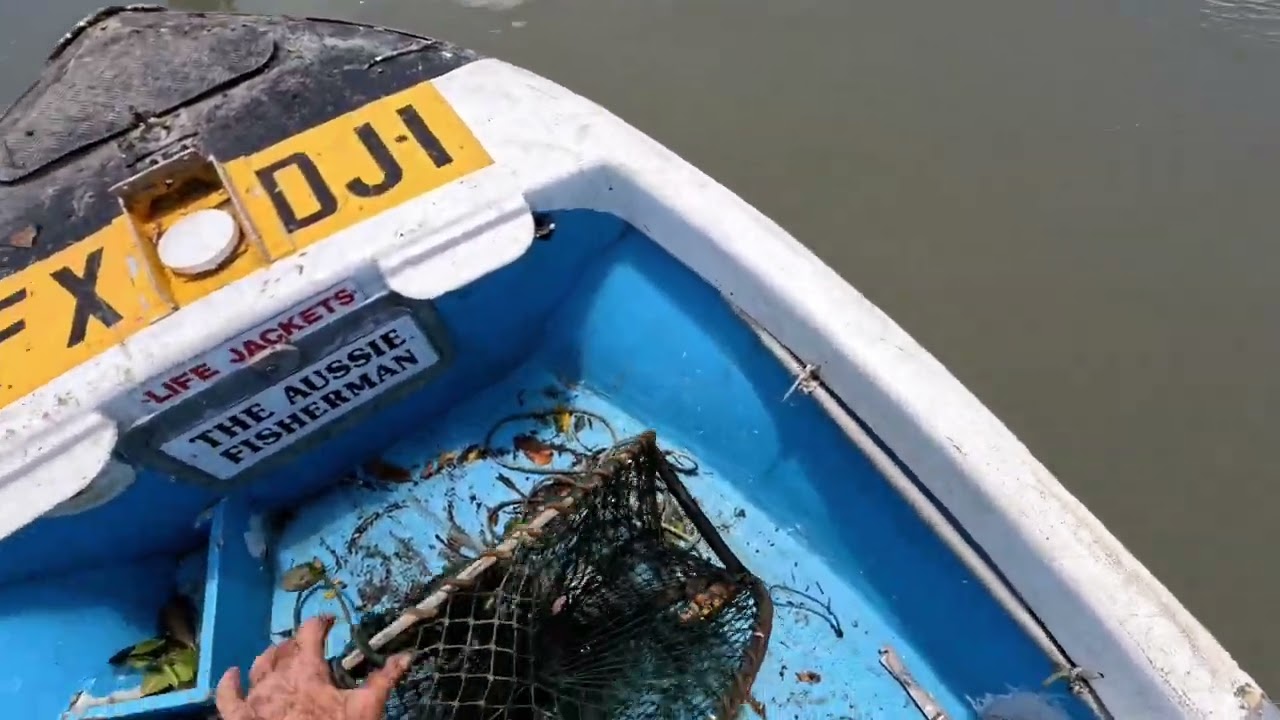 Лучшие советы по ловле крабов, ловля огромного грязевого краба в Квинсленде, Австралия.