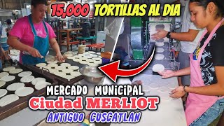 Las tortilleras mas rapidas y el MERCADO DE CIUDAD MERLIOT. by Henry Lopez SV 459 views 3 weeks ago 12 minutes, 50 seconds