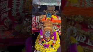 Ramdevra se live darshan #ramdevpir #ramapir #ramdevra #ramdevr #runicha #new #newvideo#status #song
