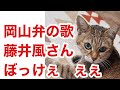 藤井風さん 岡山弁の歌 みやびちゃん大好き! ママのオススメ! b'z 稲葉さん 甲本ヒロトさん 岸田智史も忘れられない! 岡山を代表するアーティスト 長門勇さんもおるで! ぼっけぇ ぼっけぇ
