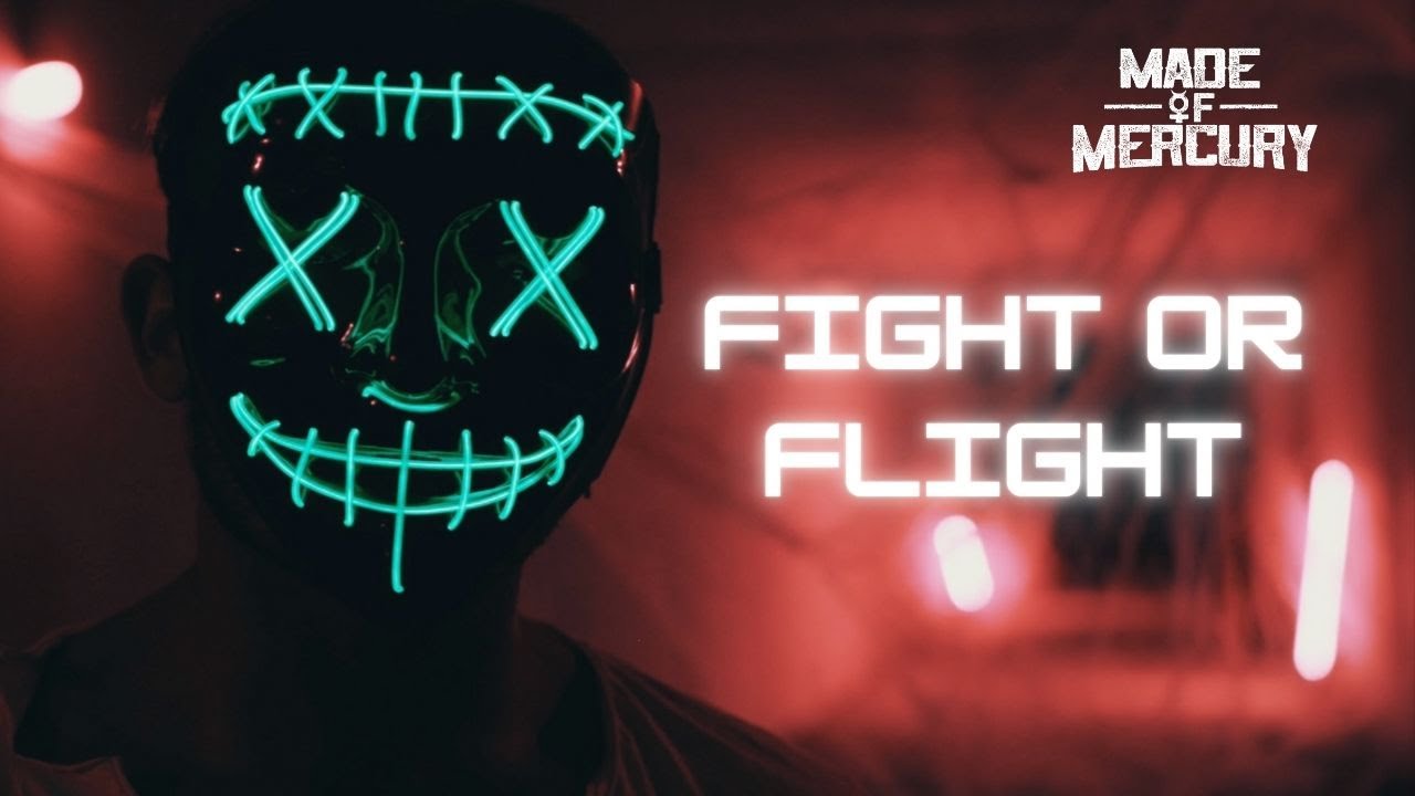 FIGHT OR FLIGHT - MADE OF MERCURY (OFFICIAL MUSIC VIDEO)
