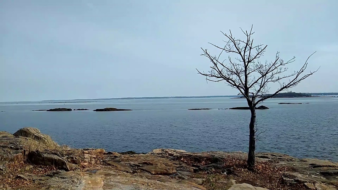 Episode 18 New Rochelle, NY (Davenport Park, COVID19 Containment