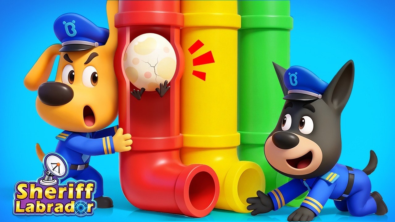 Where's the Egg? | Safety Rules for Kids | Educational Cartoon | Sheriff Labrador