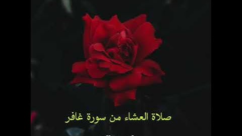 صلاة العشاء من سورة غافر . صابر صالح