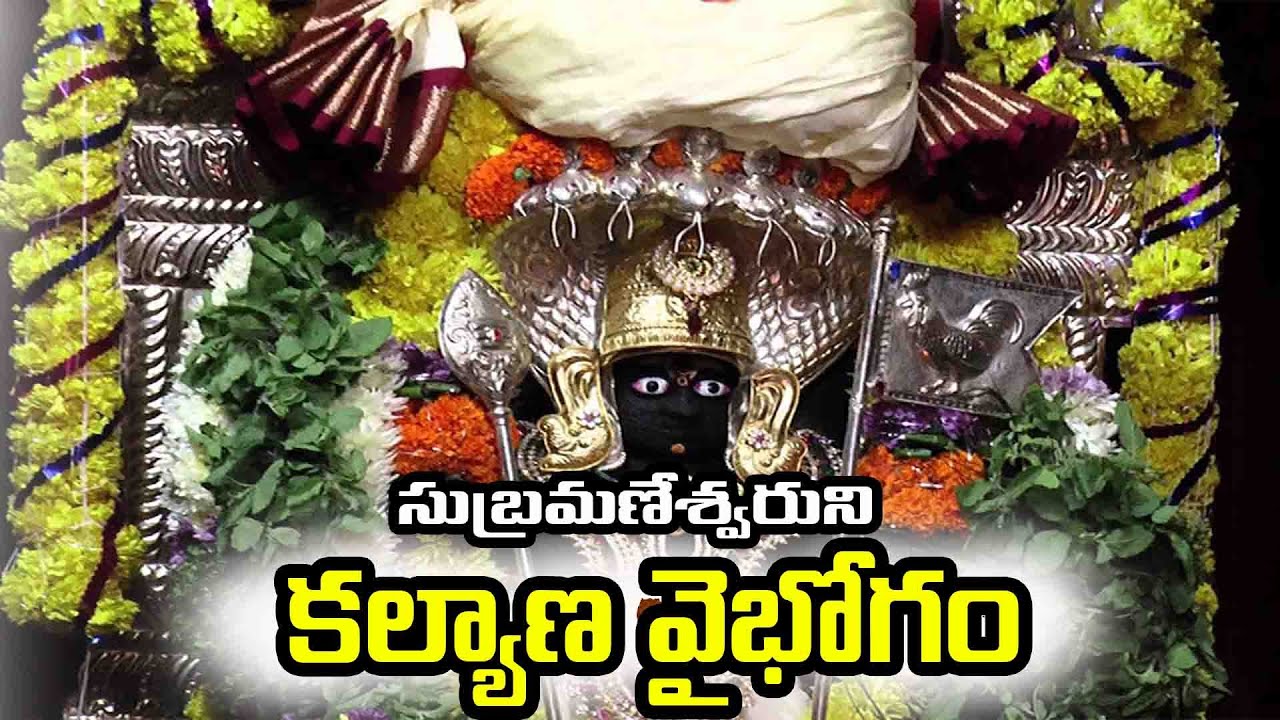 Subramanya Sashti Celebrations At Bikkavolu Subramanya Swamy Temple