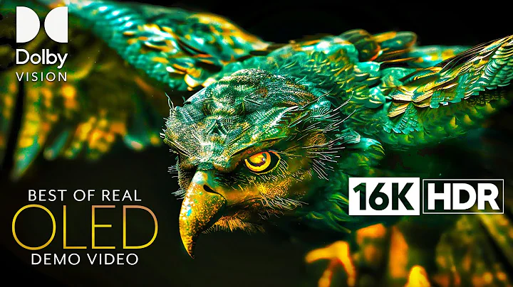 16K Video ULTRA HD - 16K HDR Dolby Vision (4K/8K TV)