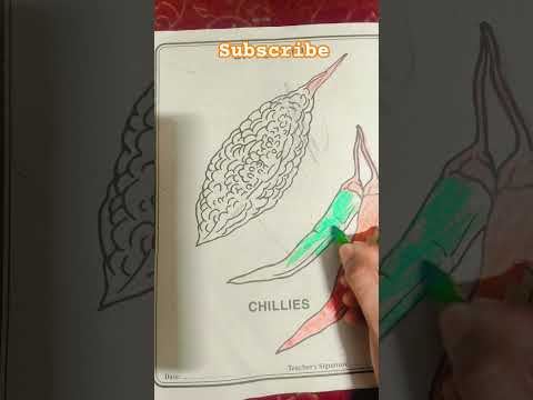 Colouring time