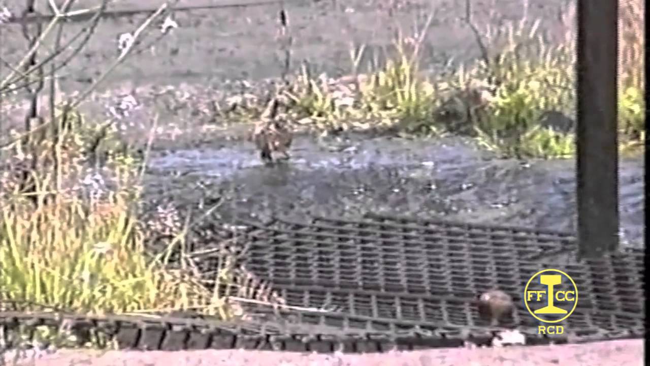 MSP Ponferrada Villablino. Instalaciones talleres. 02ª Parte.