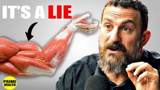 The “FASTEST” Way To Build Muscles l Andrew Huberman