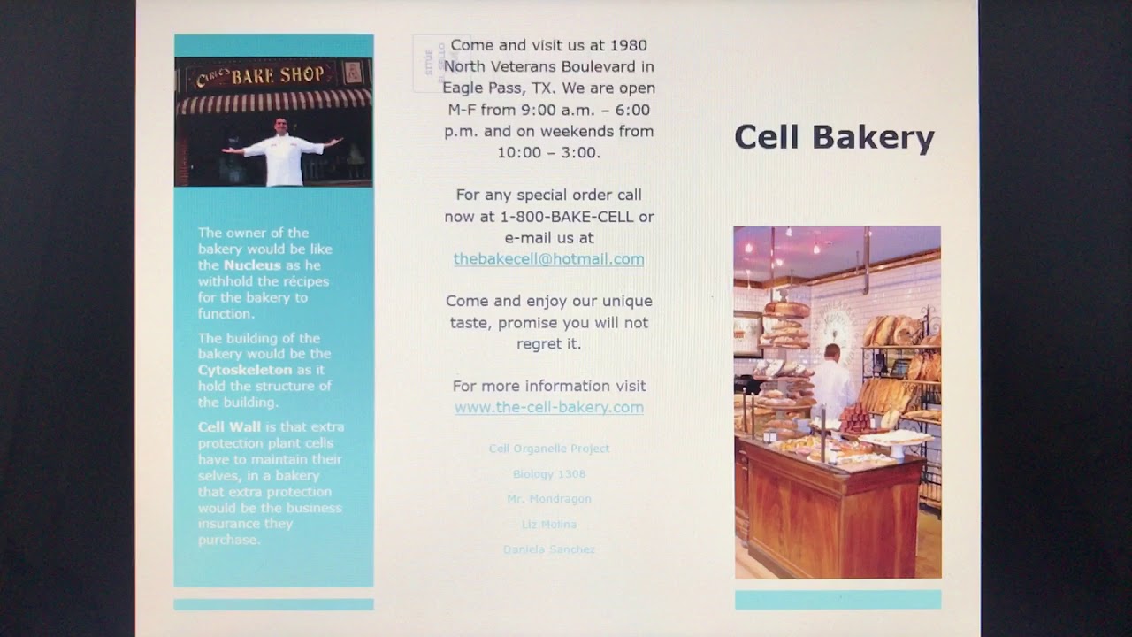 Bakery Cell Project - YouTube