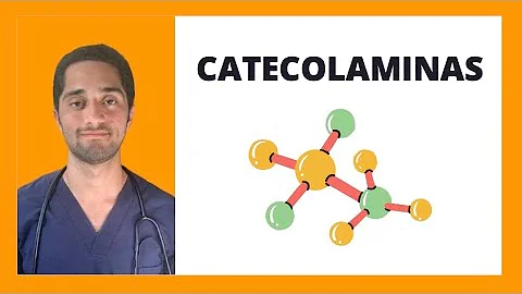 ¿Qué fármaco bloquea las catecolaminas?