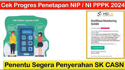 Cara Cek Progres Penetapan NI PPPK / CPNS Secara Mandiri di Mola BKN Penentu Segera Penyerahan SK