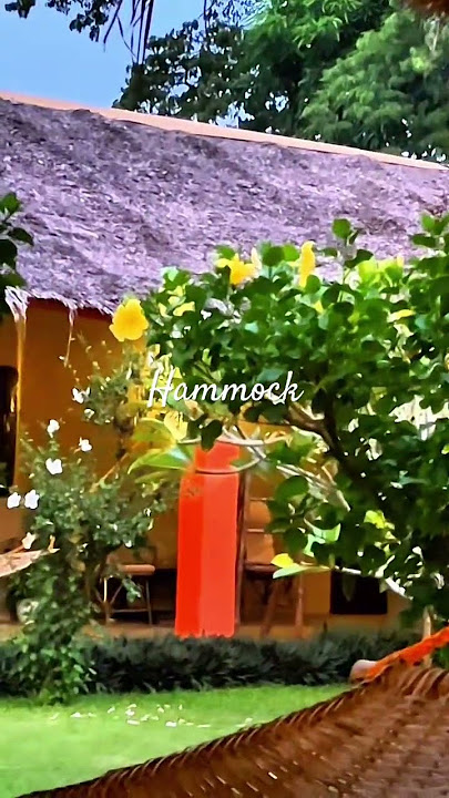 Hammock With the View #hammockcamping #shortvideo  #aklanongidofficial