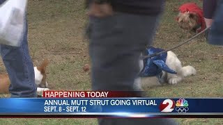 5th Annual Mutt Strut to raise money for veterans in need