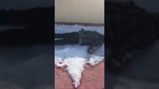 First time making a snow angel