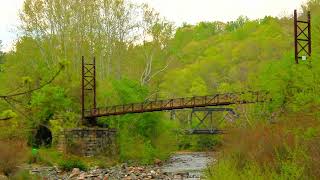Patapsco River Project