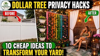 10 Dollar Tree DIY Privacy Screen Hacks That Transformed My Backyard 