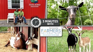 What It Takes to Run a 'Grade A' Goat Dairy | 3 Minutes With 9922