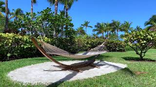 🌴 Tropical Beachside Hammock Ocean Ambience [Atlantis Paradise Island]