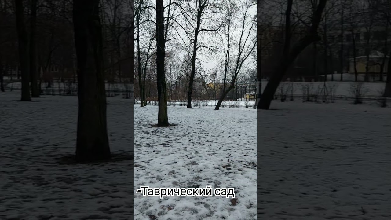 Таврический сад 