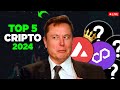 Top 5 cripto para investir em 2024