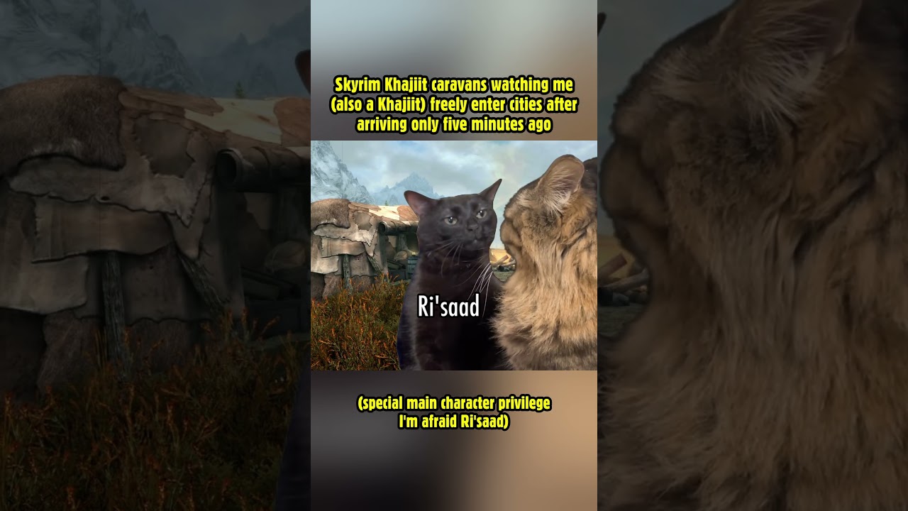 Skyrim Khajiit caravans watching me (also a Khajiit) freely enter cities! 