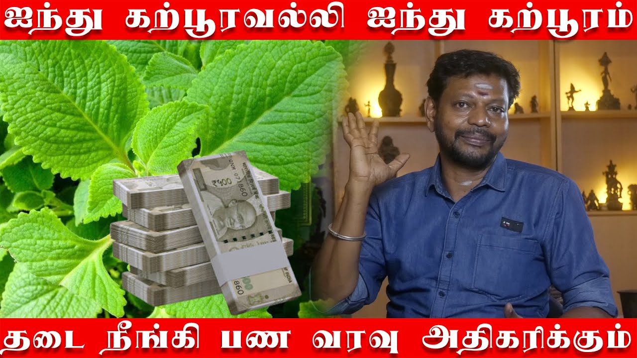 ஐந்து கற்பூரம் ஐந்து கற்பூரவல்லி போதும் தடை நீங்கி பண வரவு அதிகரிக்கும் | தடைகள்  நீங்க கற்பூரவல்லி