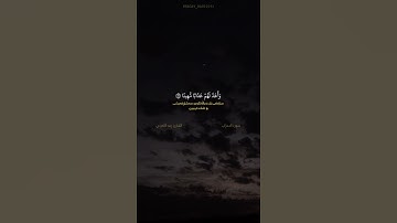 سورة الأحزاب آية ٥٧ القارئ رعد الكردي